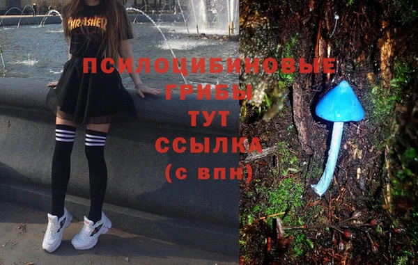 MDMA Premium VHQ Алзамай