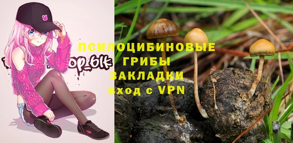 спиды Алексин