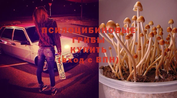 MDMA Premium VHQ Алзамай