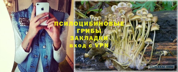 герыч Алексеевка