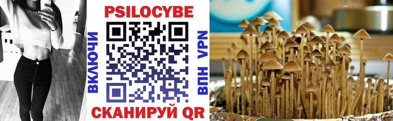 даркнет телеграм  Минусинск  Галлюциногенные грибы мухоморы 